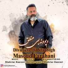 آهنگ جدید مسعود فراهانی به نام دیوونه‌ بی منطق